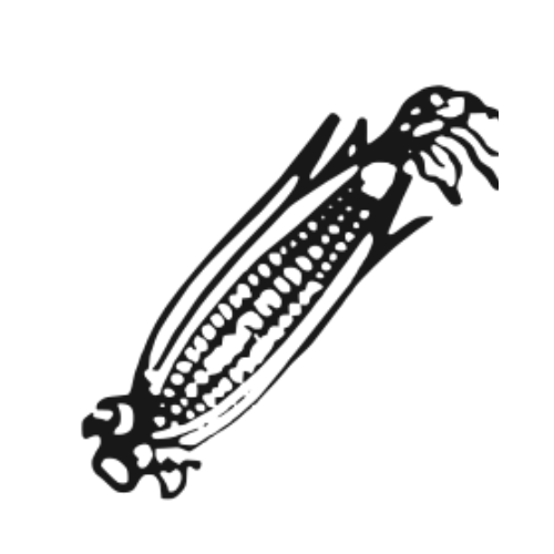 Peoples Party of Arunachal Logo